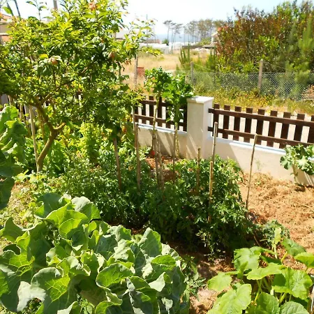 Casa vacanze Creto Village *